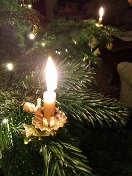 Kerze an einem Weihnachtsbaum. Foto: Jens Hansel
