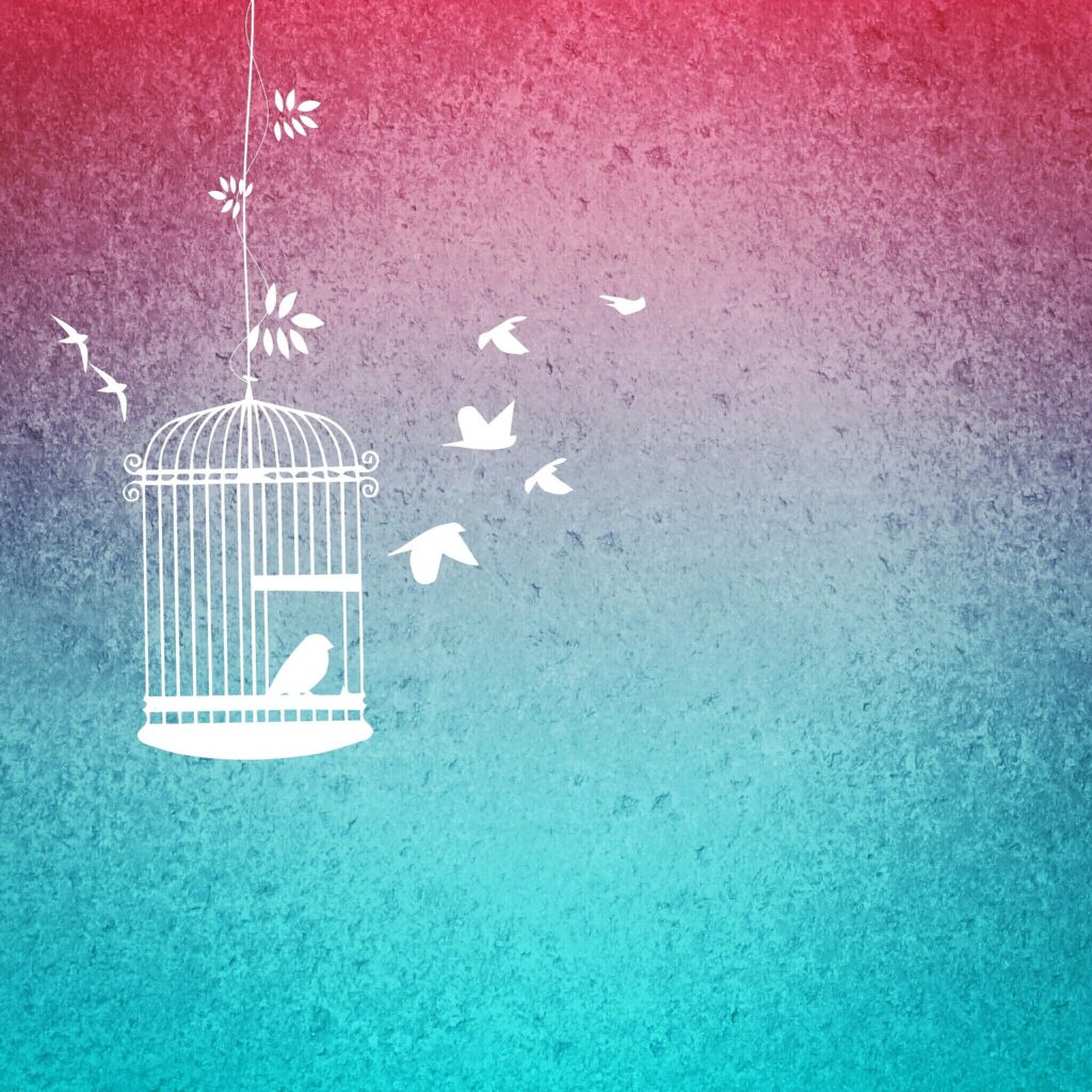 Symbolbild von Vögeln und einem Vogelkäfig, die Vögel brechen aus.